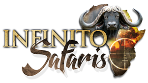 Infinito Safaris