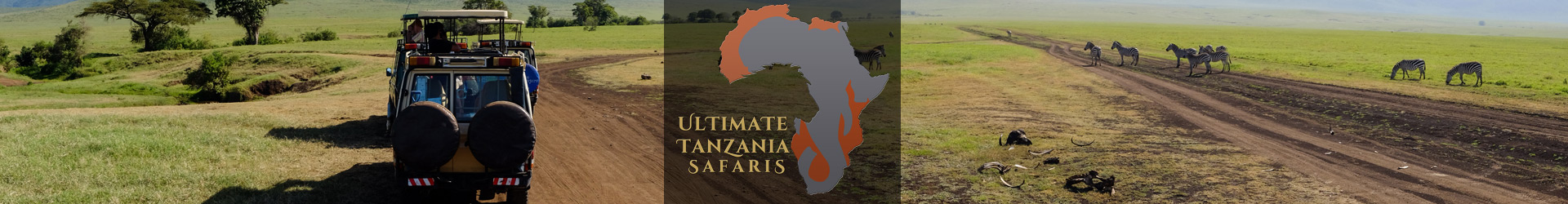 Infinito Safaris