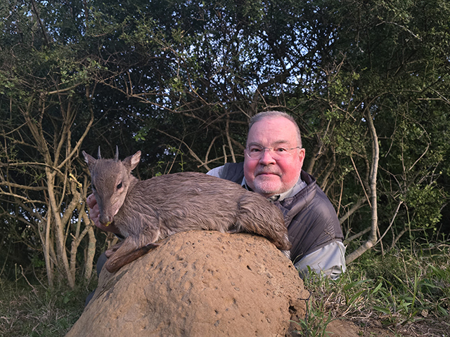Mike-Blue-Duiker Blue Duiker